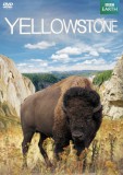 Yellowstone - DVD