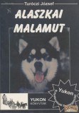 Yukon Alaszkai malamut