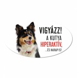 Zsona Dekor Vigyázz a kutya harap tábla műanyagból BORDER COLLIE
